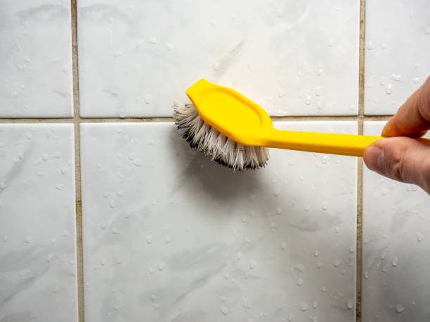 Best Affordable Mold Removal  in Decatur, MS