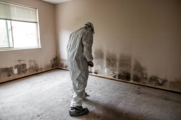 Crawl Space Mold Removal in Decatur, MS