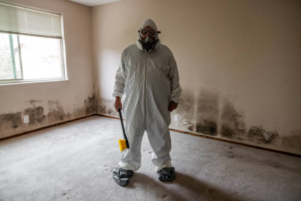 Best Commercial Mold Removal  in Decatur, MS